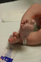 /album/births/a179456-499700744143-2273737-n-jpg/