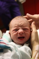 /album/births/a180671-499707194143-3516056-n-jpg/